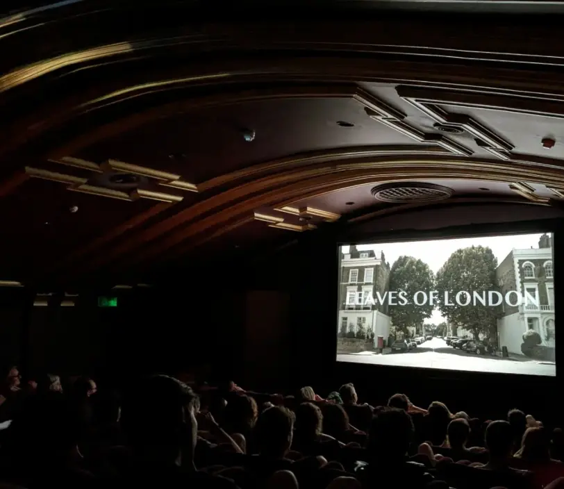 Leaves of London projected at the Castle Cinema